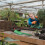 Herramienta De Jardinería Resistente Para Plantar Y 9