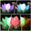 5 Unidades Led Colores Piscina 3