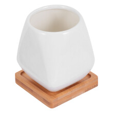 Kleine Keramische Met Bamboe Voor Kamerplanten