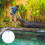 Set Pulizia Piscina Con Spazzola In Per 4