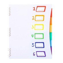 (White) 6 Pockets Expanding File Folder Letter Size Document Organiser Expandable Sorting Folder with Removable Pages 317x250mm White
