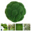 1 Pezzo Per Decorazione Da Verde 5