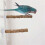 (20CM) 3pack Parrots Wall Bath Standing Rack Suction Cup Station Poles Interaction Toy for Interactively Playing 2