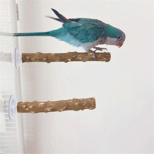 (20CM) 3pack Parrots Wall Bath Standing Rack Suction Cup Station Poles Interaction Toy for Interactively Playing 1