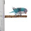 (20CM) 3pack Parrots Wall Bath Standing Rack Suction Cup Station Poles Interaction Toy for Interactively Playing 4