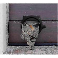 (Black) Cat Door For Pets Cat Flap - For Interior Doors Exterior Doors 25-26s