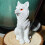 Statue de renards assis en résine, décorations de jardin,-Blanc 6