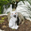 Statue de renards assis en résine, décorations de jardin,-Blanc 5