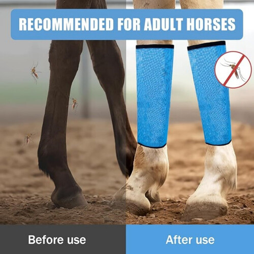 Protège-jambes de cheval en maille, 4 pièces, botte-Vert 2