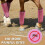 Protège-jambes de cheval respirants, 4 pièces, couverture-Violet 6