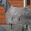 Drap d'écurie chauffant pour chevaux Isolation haute densité 2