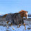 Drap d'écurie chauffant pour chevaux Isolation haute densité 4