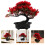 5 Unidades De Árvore De Bonsai De Artificial Vaso 1