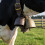 Durability Metal Livestock Bells Rope Rusty Farmyards Security 6