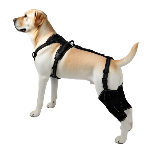 Regulierbare Hundebeinschutzhüllen aus hochfestem Polyester-L 2