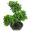 Árvore De Bonsai Artificial De Vaso Para Escrivaninha 10