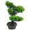 Árvore De Bonsai Artificial De Vaso Para Escrivaninha 8