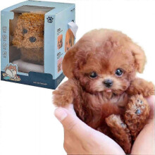(B) My Realistic Robot Puppy, Mini Interactive Plush Toy Pet Kids Cute Soft Robot Dog Can Walk And Bark 25-26s