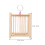 Cage Per Insetti Appesa Portatile Per Cavallette E Insetti 10