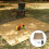 1 Set Wasserdichte Picknickdecke Mit Und Matte 8