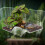 Extra Wide Shelled Animal Soaking Tub Safe ABS Design-S 3