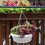 2Pcs White Hanging Flowerpot with Tray Durable Plastic Plant Planter 9