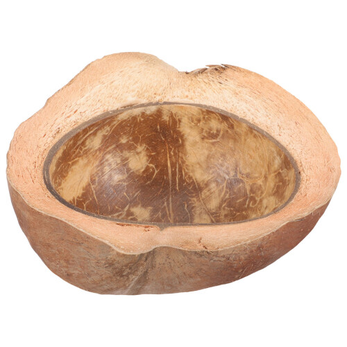 Cokernut Shell Bowl Natural Serviço Fruteira
