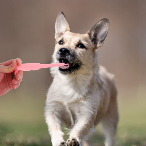 Pet Pill Dispenser Für Katzen Und Mit Tabletten Pusher 2