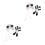 2 Sets Handgefertigte Gestrickte Baby Panda Mütze 9