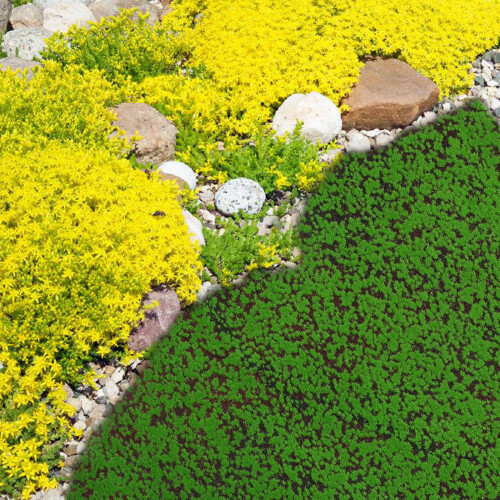 2Stk Künstliches Moos Flechte Für Garten Terrasse 2