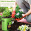 2Pièces Végétalier Durable Vert En Tissu Non 11