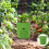 2Pièces Végétalier Durable Vert En Tissu Non 5