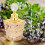 Perfume Flakon Leerer Nachfüllbarer 10 Ml 6