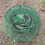 Camouflage Anti-Mosquito Hat with Fine Mesh Face Protector Net 5