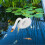 De Cisne De Decorativo 9