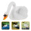 De Cisne De Decorativo 5