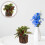Planta Bonsai Artificial Vaso Para Decoração De Escritório 6