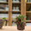 Planta Bonsai Artificial Vaso Para Decoração De Escritório 9