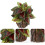Planta Bonsai Artificial Vaso Para Decoração De Escritório 4