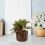 Planta Bonsai Artificial Vaso Para Decoração De Escritório 11