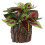 Planta Bonsai Artificial Vaso Para Decoração De Escritório 5