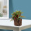 Planta Bonsai Artificial Vaso Para Decoração De Escritório 8
