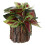 Planta Bonsai Artificial Vaso Para Decoração De Escritório 7