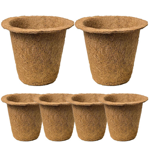 6 Unidades -Plantas De Nutrição Para E 1