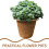 6 Unidades -Plantas De Nutrição Para E 10