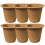6 Unidades -Plantas De Nutrição Para E 6
