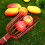 1Set Multi-Color Fruit Picker Tool with Aluminum Pole for Garden Use 10