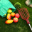 1Set Multi-Color Fruit Picker Tool with Aluminum Pole for Garden Use 11
