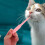 Pet Pill Dispenser Für Katzen, , Kleintiere Mit Silikonspitze 4