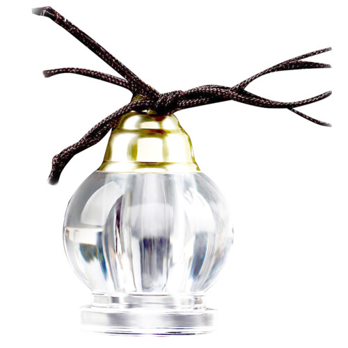 2St Aromatherapie Diffusor Anhänger Halskette Duftflakon 2